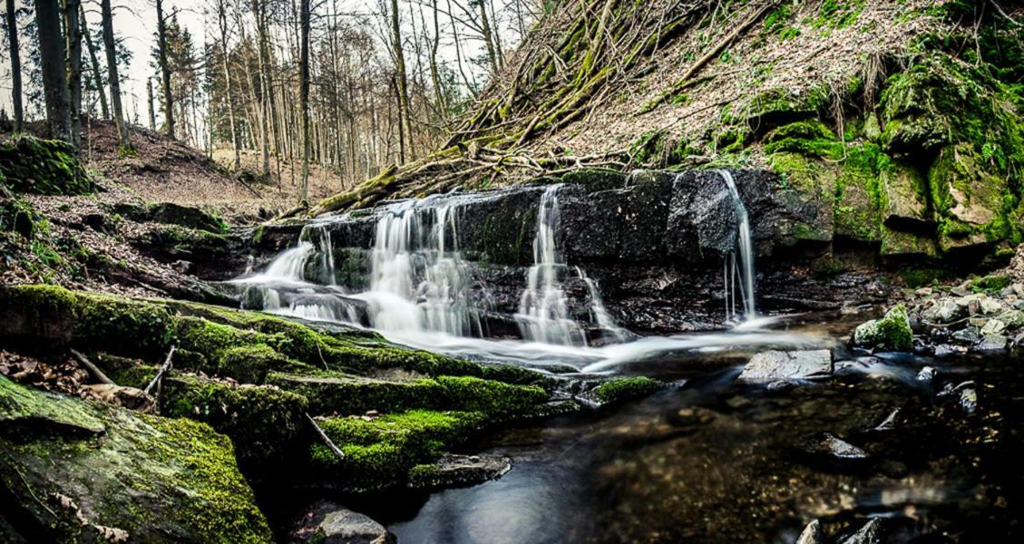 Landhaus Rhoenium Gersfeld Kültér fotó